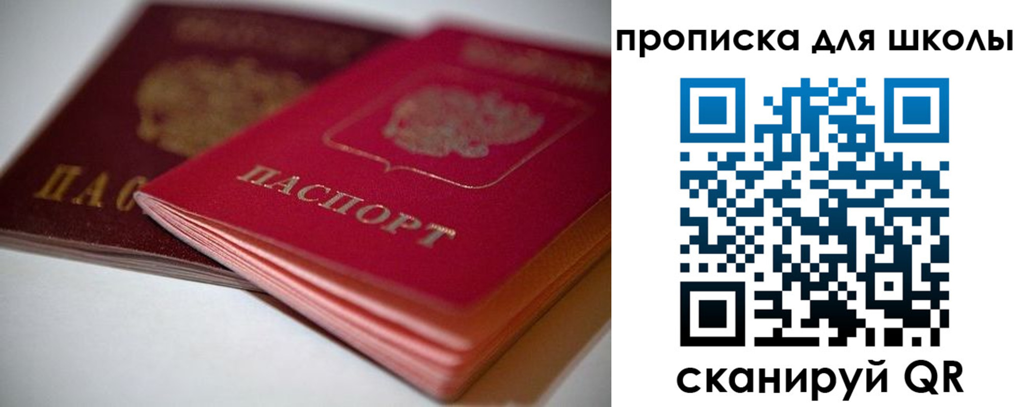 прописка для школы в Люберцах